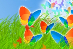 090409-Rainbow_thumb.jpg