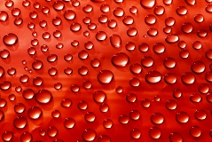 091018-Raindrops_thumb.jpg