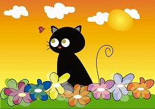 K003-BlackCatWithButterfly_thumb.jpg