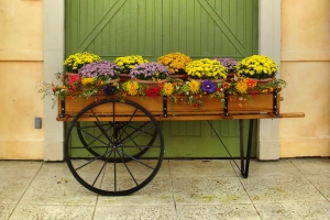 Saturday’s Free Daily Jigsaw Puzzle – Flowers In A Push Cart