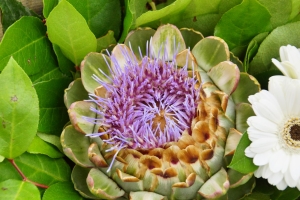 Tuesday’s Flower Power Free Daily Jigsaw Puzzle