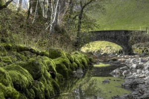 Wednesday’s Excessively Green Jigsaw Puzzle – Landscape