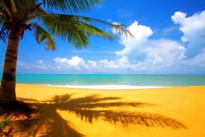 The Beach – Monday’s Daily Good Weather Jigsaw Puzzle