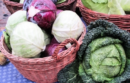 Sunday’s Farm Type Daily Jigsaw Puzzle – Cabbages