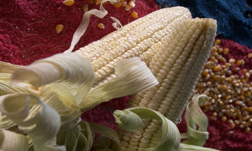 Corn On The Cob – Saturday’s Cookout Daily Jigsaw Puzzle