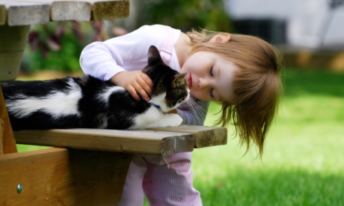 Young Friends – Sunday’s Purrrrfect Daily Jigsaw Puzzle