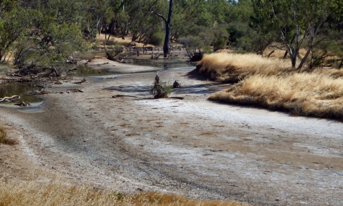 Cry Me A Dry Riverbed – Monday’s Daily Jigsaw Puzzle
