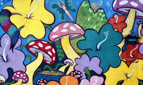Mushroom Art – Saturday’s Painted Daily Jigsaw Puzzle