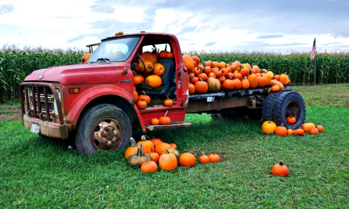 Pumpkin Truck – Saturday’s Pie Fillings Daily Jigsaw Puzzle