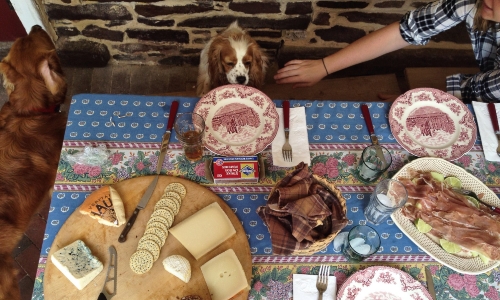 Cheese and Crackers – Sunday’s Daily Jigsaw Puzzle