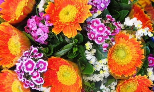 Orange Flowers – Tuesday’s No Rhyme Daily Jigsaw Puzzle