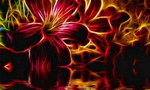 Flower Over Water – Sunday’s Weird Daily Jigsaw Puzzle