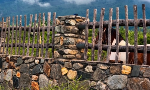 Horse and a Fence – Thursday’s Outdoor Jigsaw Puzzle