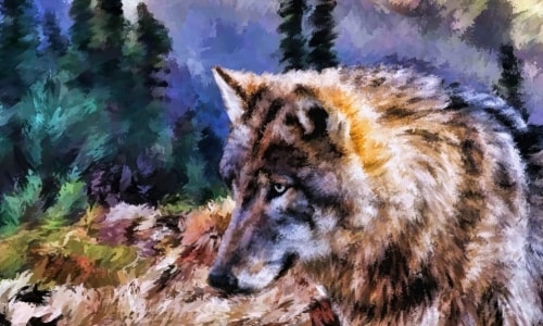 Howling At The Moon – Saturday’s Free Wolf Jigsaw Puzzle