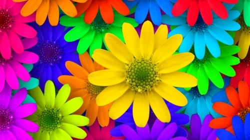 Colorful Flowers – Monday’s No Bees Daily Jigsaw Puzzle