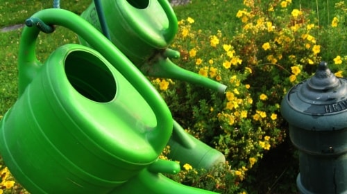 Watering Cans – Saturday’s Daily Jigsaw Puzzle