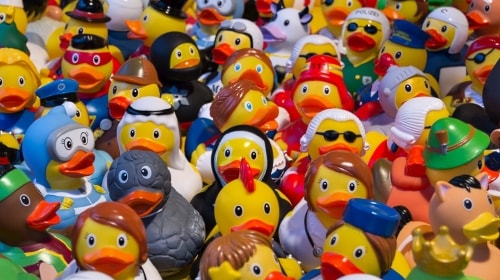 Toy Ducks – Wednesday’s Free Daily Jigsaw Puzzle