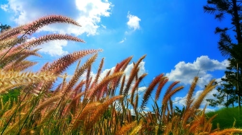 Blue Sky – Monday’s Free Daily Jigsaw Puzzle