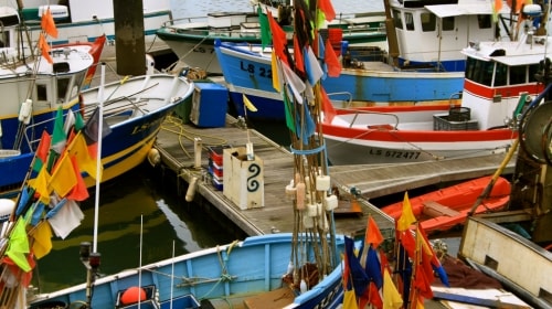 Tuesday’s Docked Daily Jigsaw Puzzle – Fishing Boats