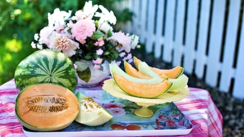 Yummy Melons – Tuesday’s Healthy Food Daily Jigsaw Puzzle