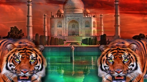 Tigers At The Taj Mahal – Thursday’s Daily Jigsaw Puzzle