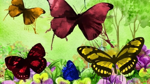 Butterflies – Monday’s Illustrated Daily Jigsaw Puzzle