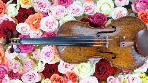 Violin – Thursday’s Musical Free Daily Jigsaw Puzzle