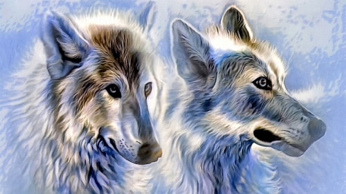 Ice Wolf – Wednesday’s Free Daily Jigsaw Puzzle