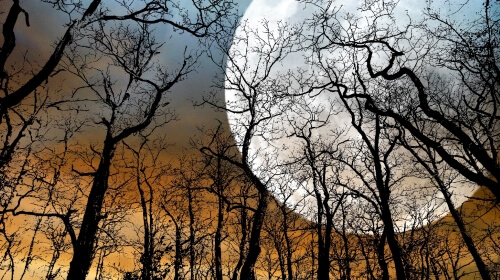 Super Moon – Saturday’s Free Daily Jigsaw Puzzle