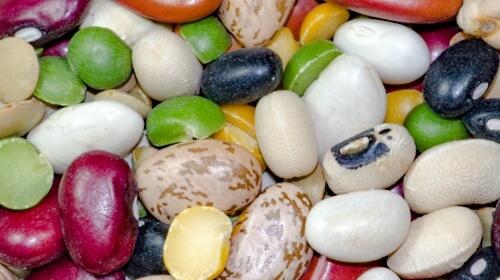 “Beans, Beans, Beans! Good Old Navy Beans”