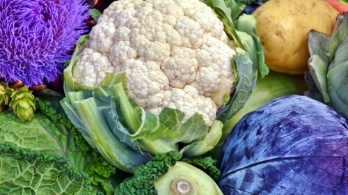 Mixed Vegetables – Tuesday’s Free Daily Jigsaw Puzzle