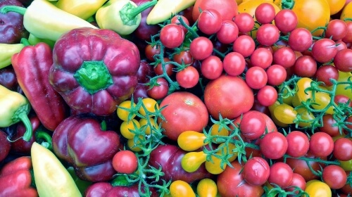 Tomatoes – Saturday’s Free Daily Jigsaw Puzzle