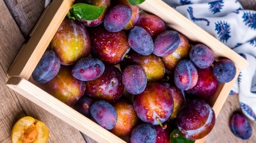 Plums – Monday’s Differently Angled Jigsaw Puzzle