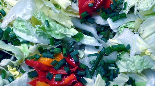 The Healthy Salad – Wednesday’s Free Daily Jigsaw Puzzle