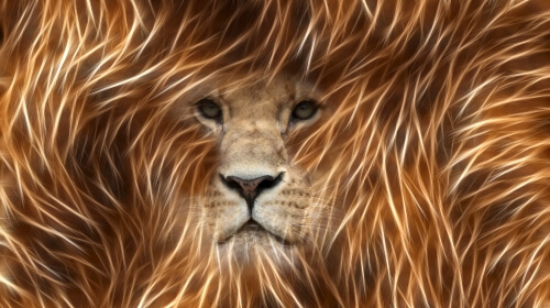 The Lion – Monday’s Free Daily Jigsaw Puzzle