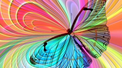 Beautiful Butterfly – Wednesday’s Free Daily Jigsaw Puzzle