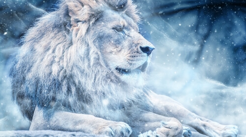The Lion in Winter – Thursday’s Cold Jigsaw Puzzle