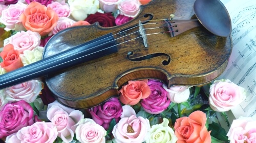 Violin and Flowers – Saturday’s Jigsaw Puzzle