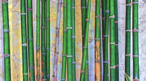 Bamboo – Wednesday’s Artistic Free Daily Jigsaw Puzzle