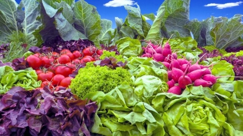 Fresh Vegetables – Monday’s Free Daily Jigsaw Puzzle