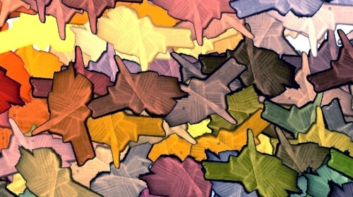 Abstract Leaves – Sunday’s Daily Jigsaw Puzzle