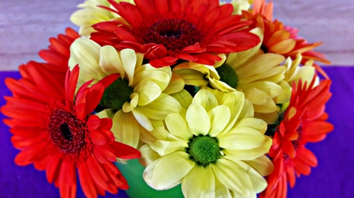 A Bowl of Flowers – Thursday’s Free Daily jigsaw Puzzle