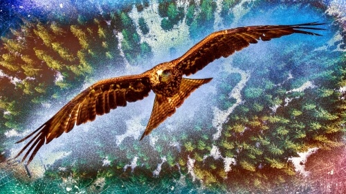 Artistic Hawk – Friday’s Free Daily Jigsaw Puzzle
