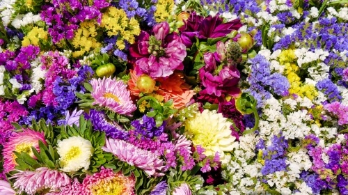Flower Riot – Sunday’s Extra Wide Jigsaw Puzzle