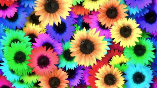 Sunflowers – Monday’s Colorful Daily Jigsaw Puzzle