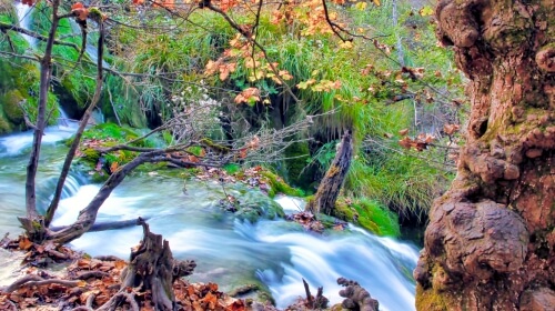 Fall Landscape – Thursday’s Daily Jigsaw Puzzle