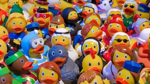Toy Ducks – Monday’s Bathtub Fun Jigsaw Puzzle