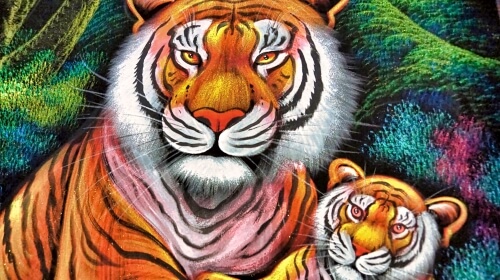 Beautiful Tigers – Wednesday’s Daily Jigsaw Puzzles