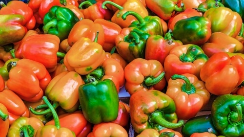 Peppers – Thursday’s No Doctor Daily Jigsaw Puzzles