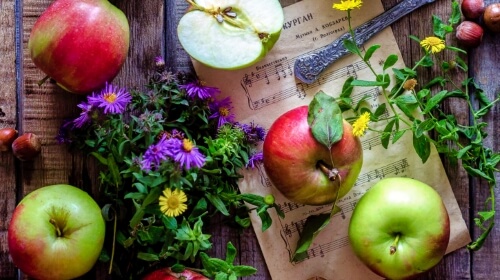 Apples And Music – Monday’s Free Daily Jigsaw Puzzle